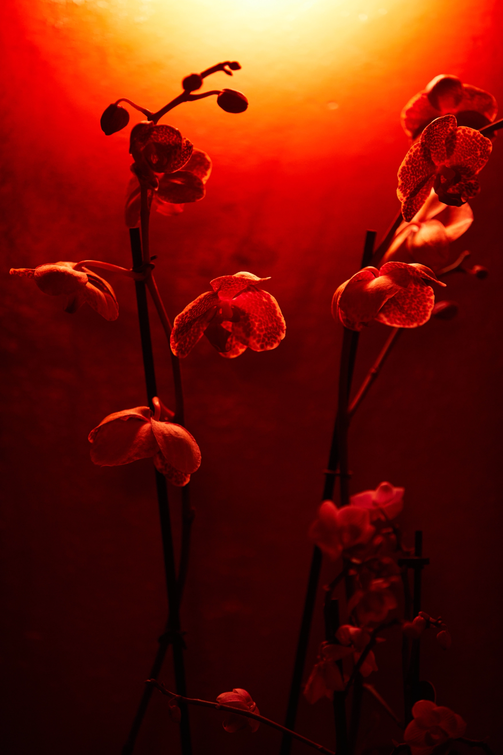 Inclusive space for all