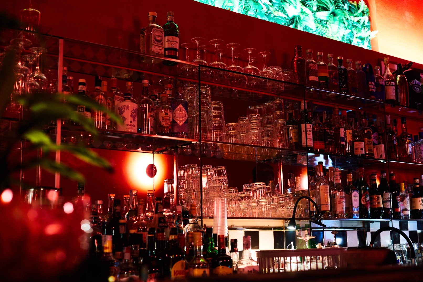 Live music and entertainment